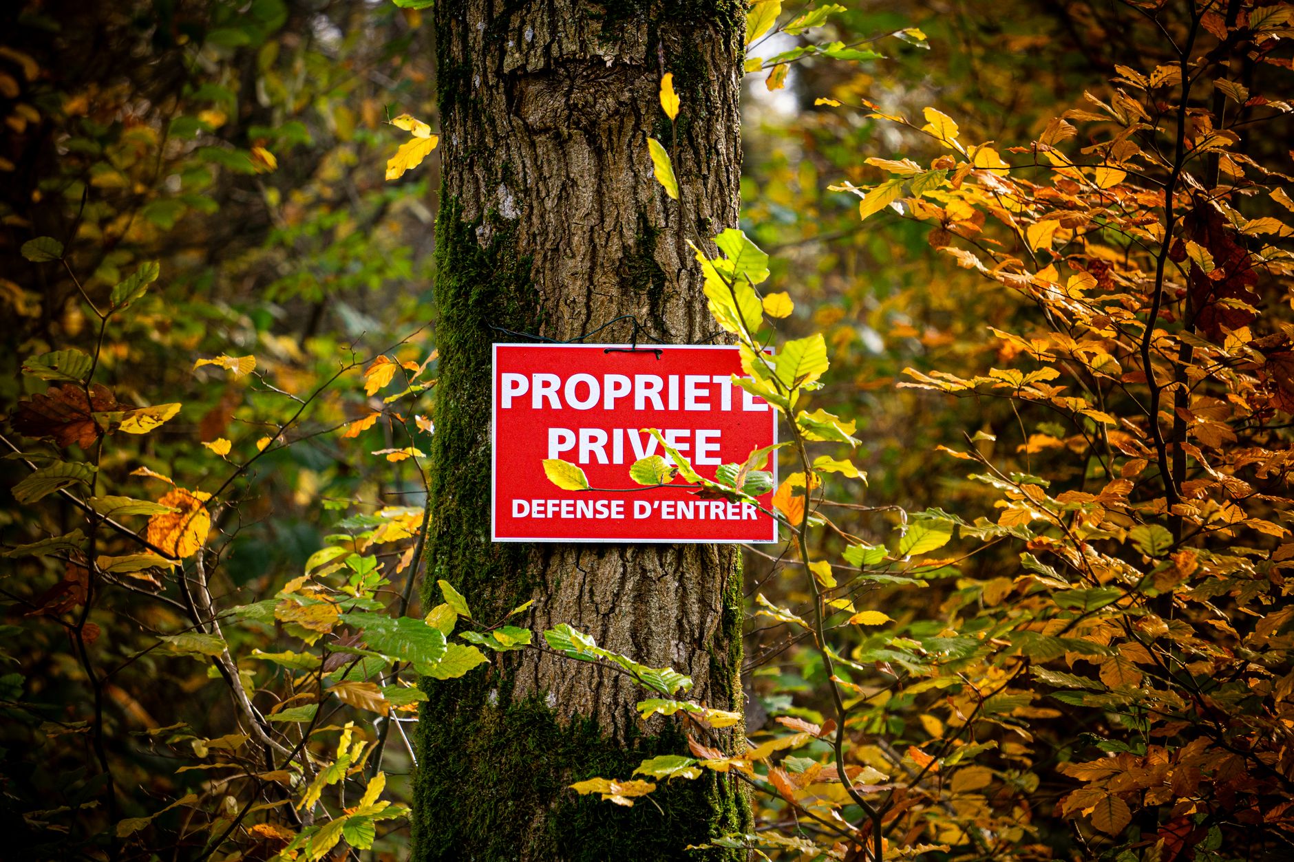 Détective privé à Valence